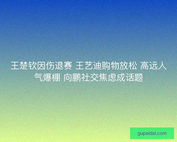 王楚钦因伤退赛 王艺迪购物放松 高远人气爆棚 向鹏社交焦虑成话题