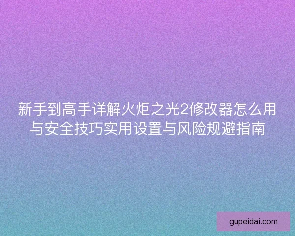 新手到高手详解火炬之光2修改器怎么用与安全技巧实用设置与风险规避指南