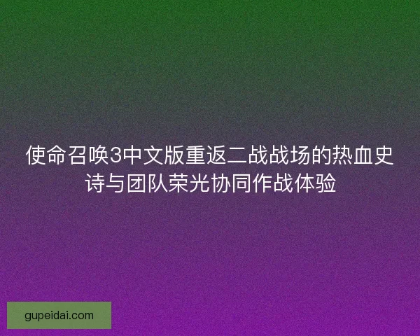 使命召唤3中文版重返二战战场的热血史诗与团队荣光协同作战体验 使命召唤3中文版重返二战战场的热血史诗与团队荣光协同作战体验