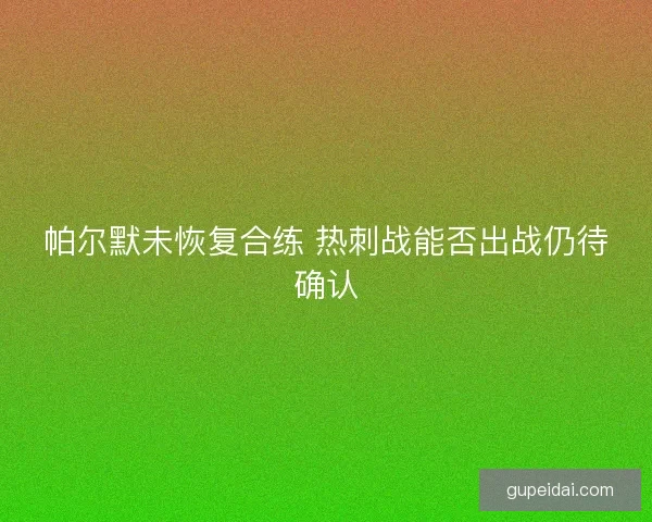 帕尔默未恢复合练 热刺战能否出战仍待确认